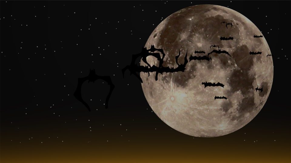 Bats! — a Halloween and Scary Movie favorite!