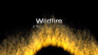 Wildfire Transition feature