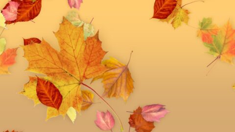 Leaves - Fall Title for FCPX