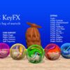 SC KeyFX