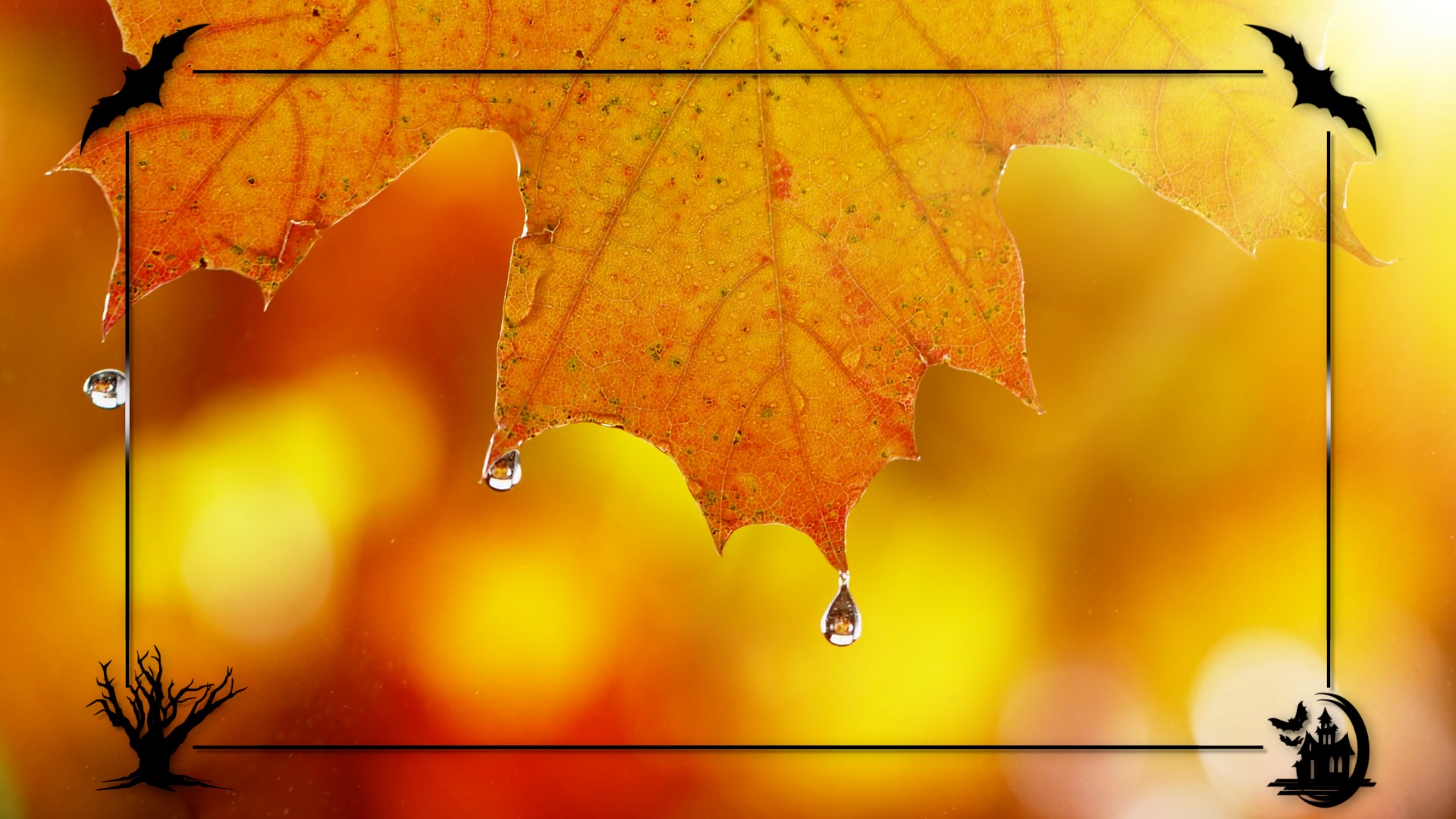 Halloween Frame FCPXTemplates